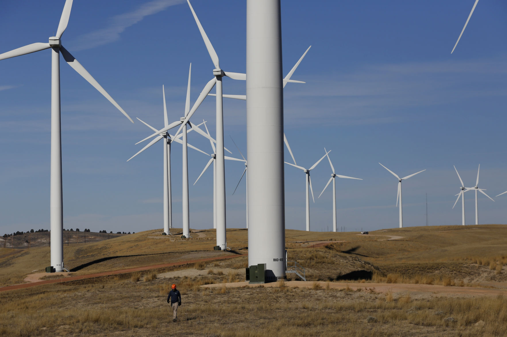 Wind Energy Eagles